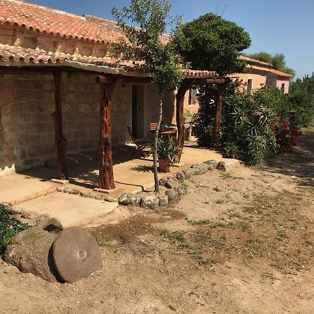 Li Casacci Acomodação com café da manhã Arzachena Exterior foto